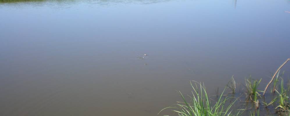 
            Фотография Старосолдатского