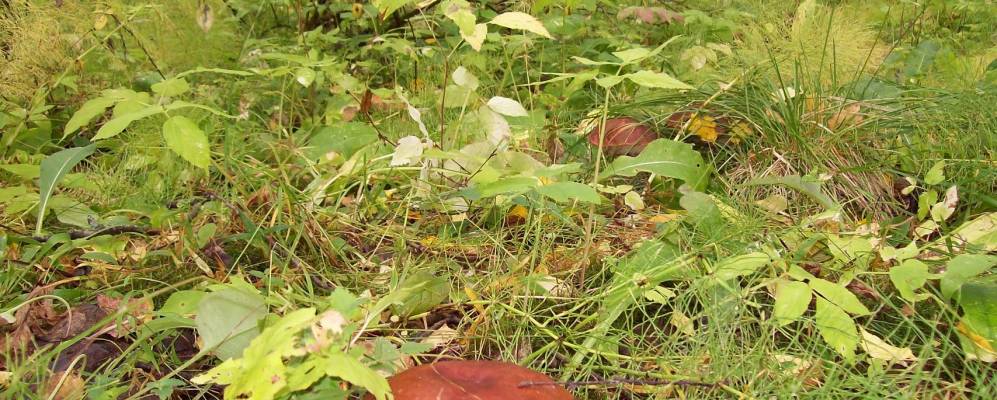 Фотография Лубянки