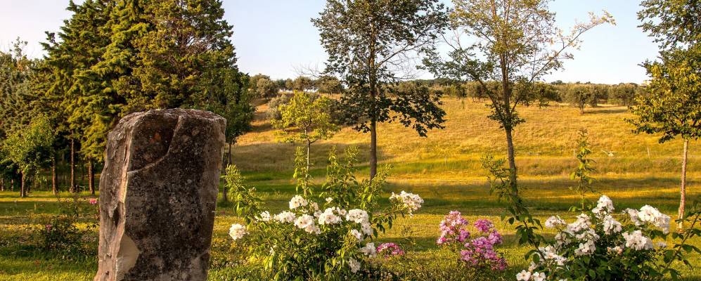 
            Фотография Чиоано