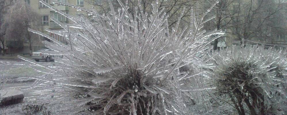 
            Фотография Вестерничан