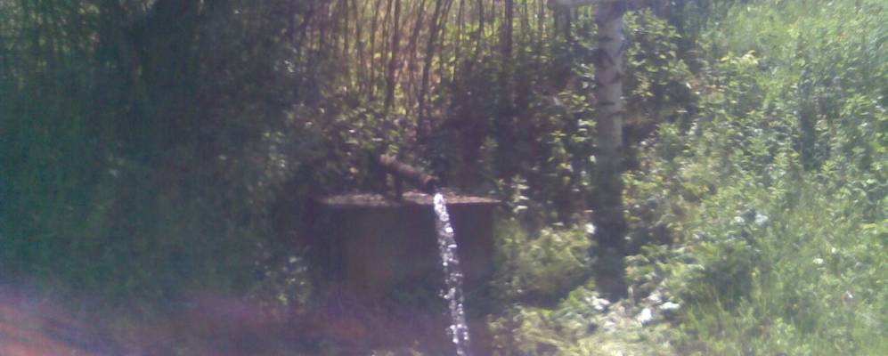 
            Фотография Ясного