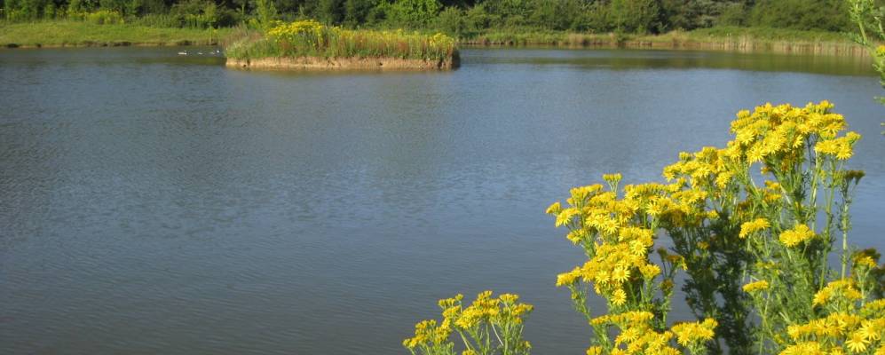 
            Фотография Косбай