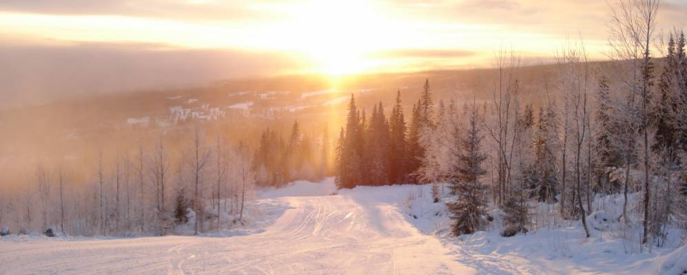 Фотография Трисила