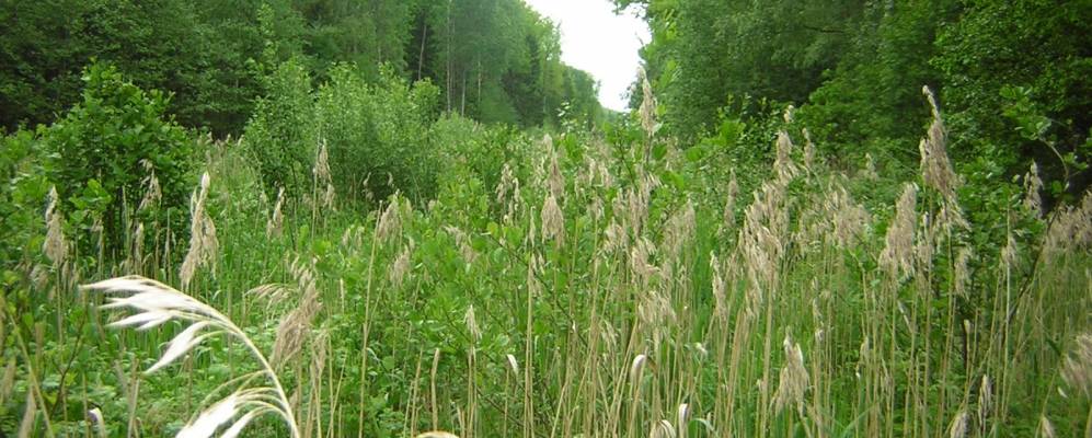 
            Фотография Шейкино