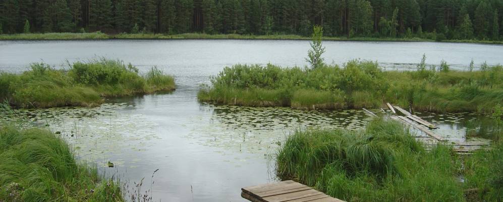 
            Фотография Соромотино