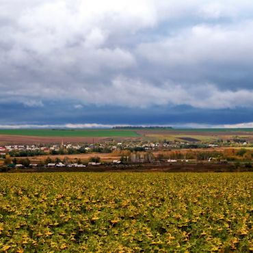 Новое Тенеево