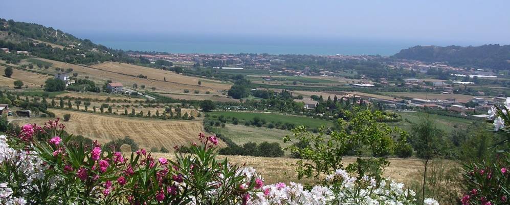 Фотография Альтидоны