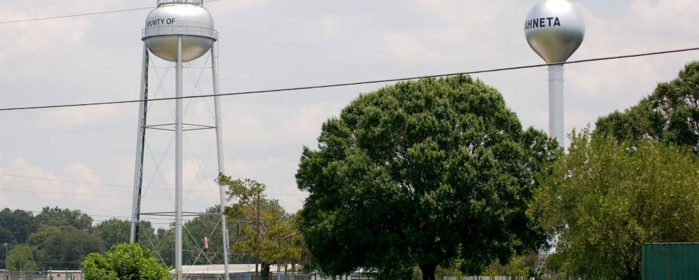 
            Фотография Уонеты