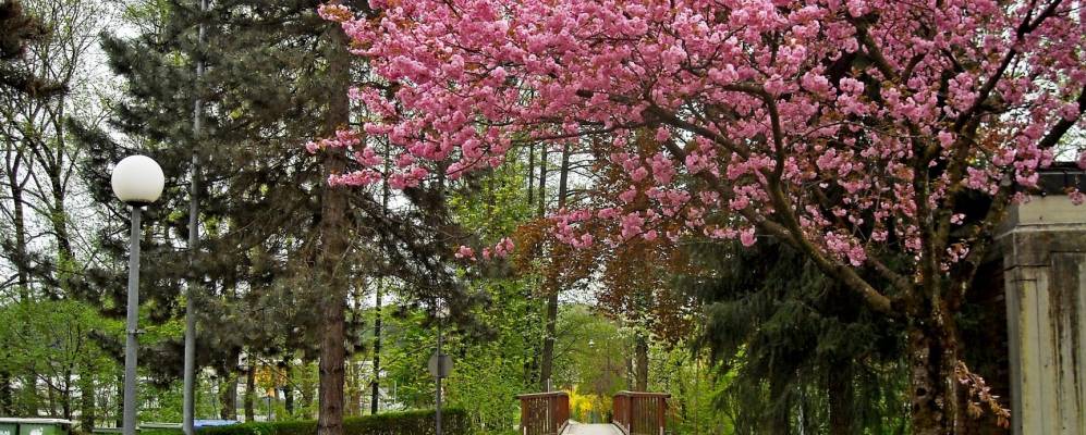 Фотография Дойчландсберга