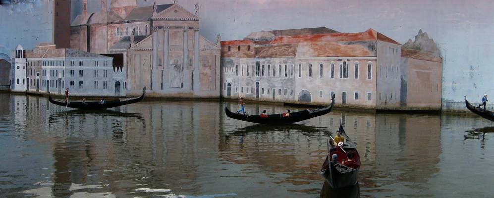 
            Фотография Визербеллы