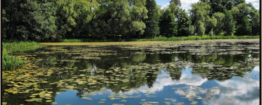 
            Фотография деревни Михневичи