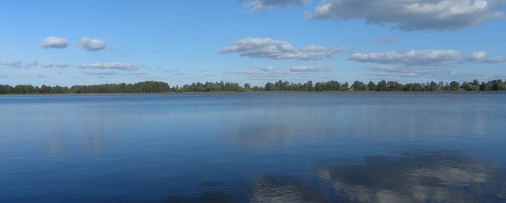 
            Фотография Вульки Телеханской