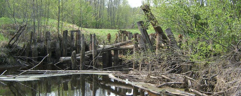 Фотография Плюхино