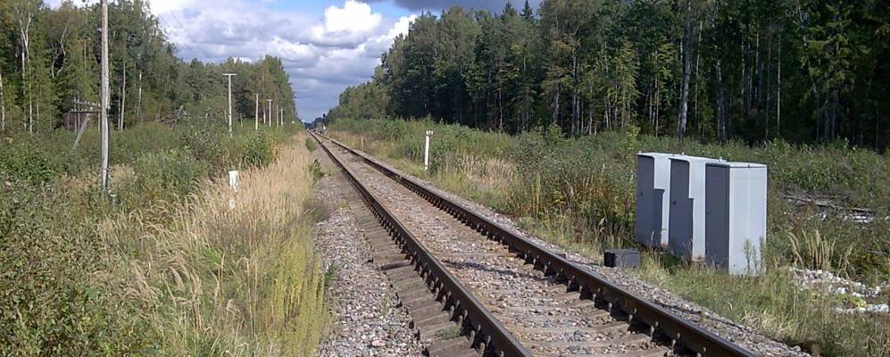 
            Фотография Вороново