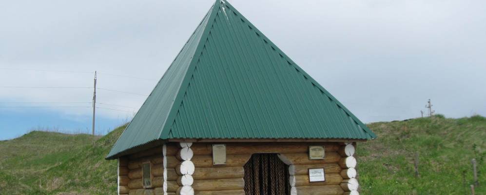 
            Фотография Альзы