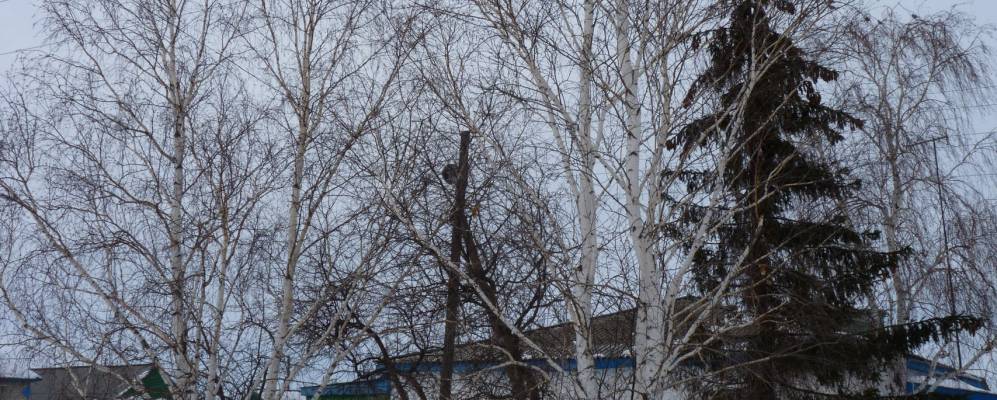 
            Фотография Лукьяновки