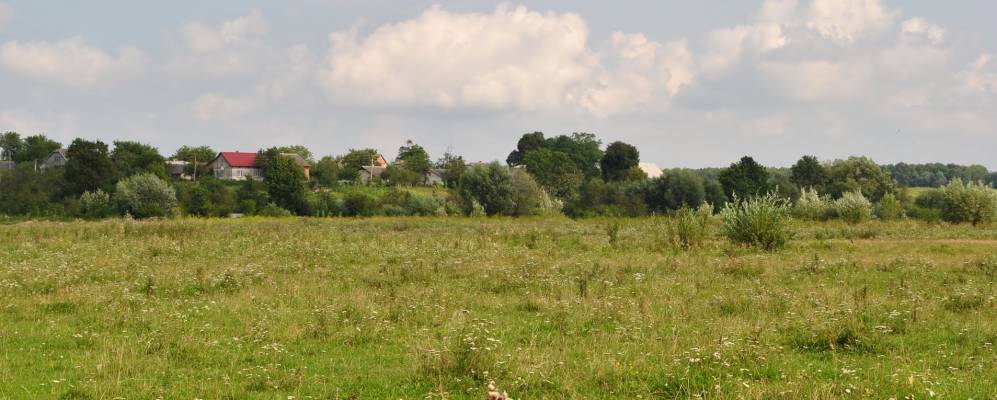 
            Фотография Сайкова