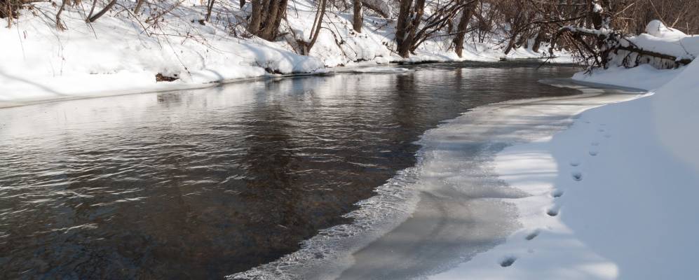 
            Фотография Середы
