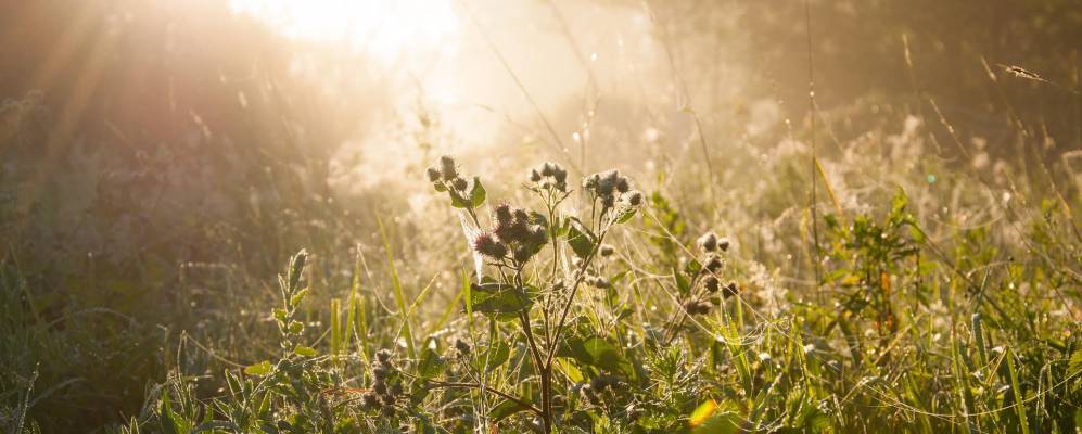 
            Фотография Петрецово