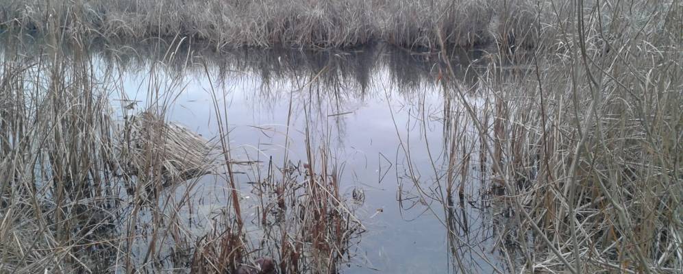 
            Фотография Чашкана