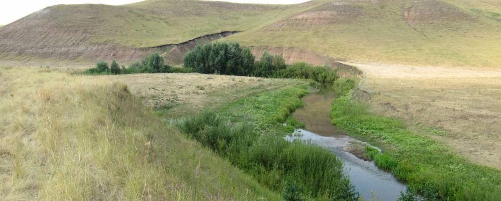 село толбазы башкортостан. село толбазы. глава кушнаренковского района гарипов. деревня старая муртаза кушнаренковский район. толбазы кушнаренково.