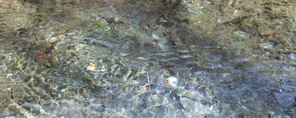 
            Фотография Беркутово