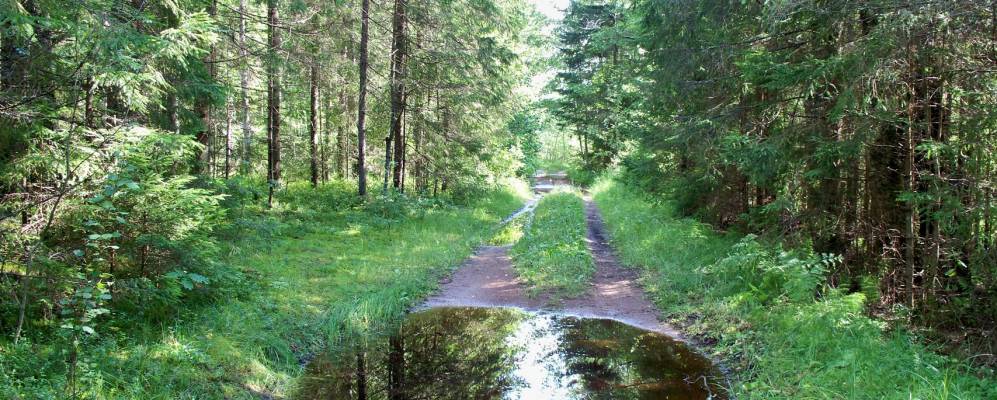 
            Фотография Афаносово