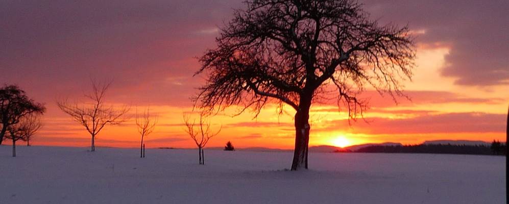 
            Фотография Бальтманнсвайлера
