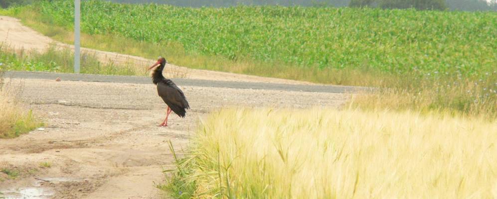 
            Фотография Аргеловщины