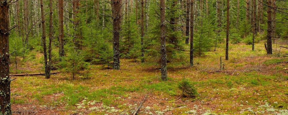 
            Фотография Бедни