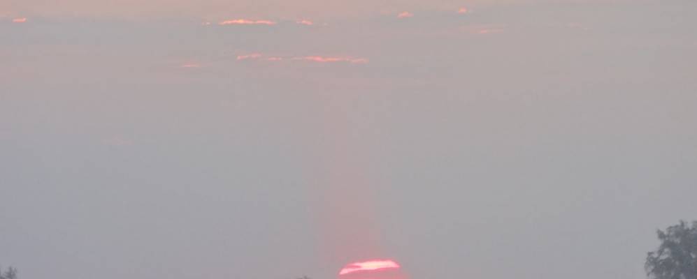 
            Фотография Сычево