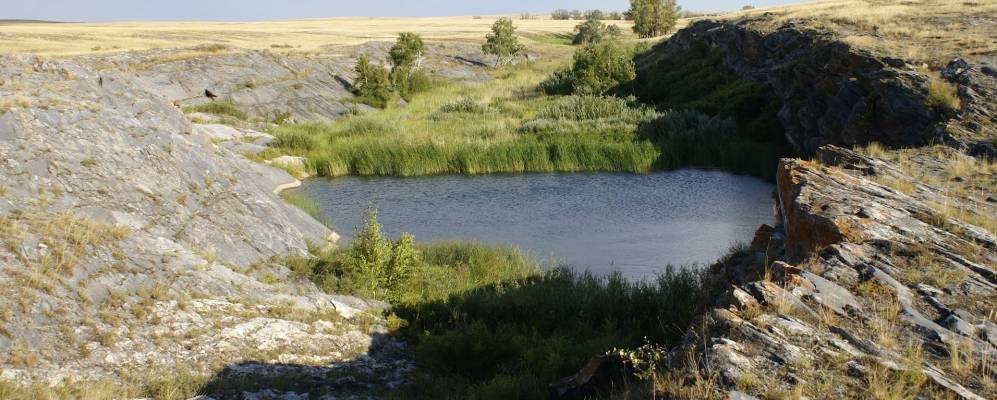 
            Фотография Солончанки