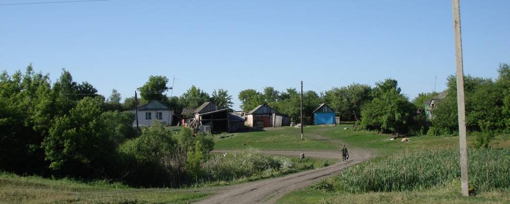 
            Фотография Искры