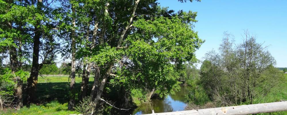 
            Фотография Казанцево