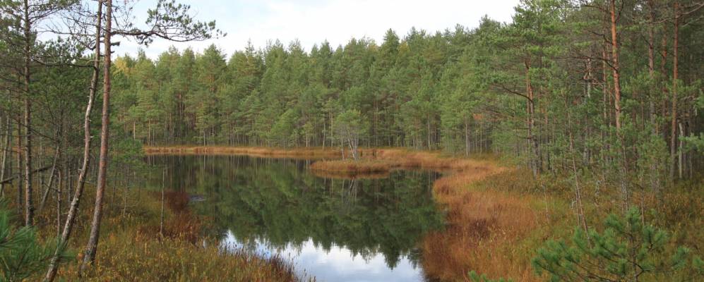 Фотография деревни Лесины