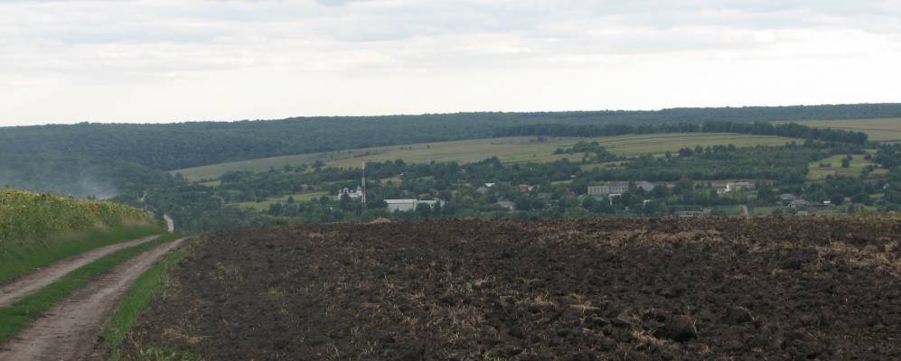 
            Фотография Воловой