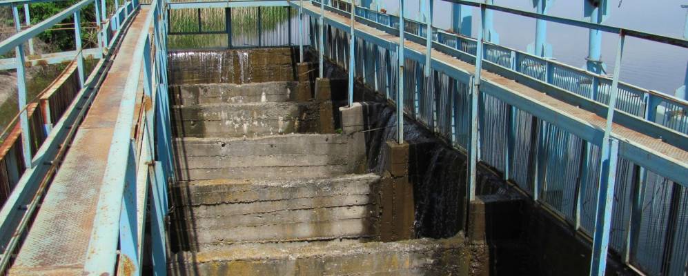 
            Фотография Драчевки