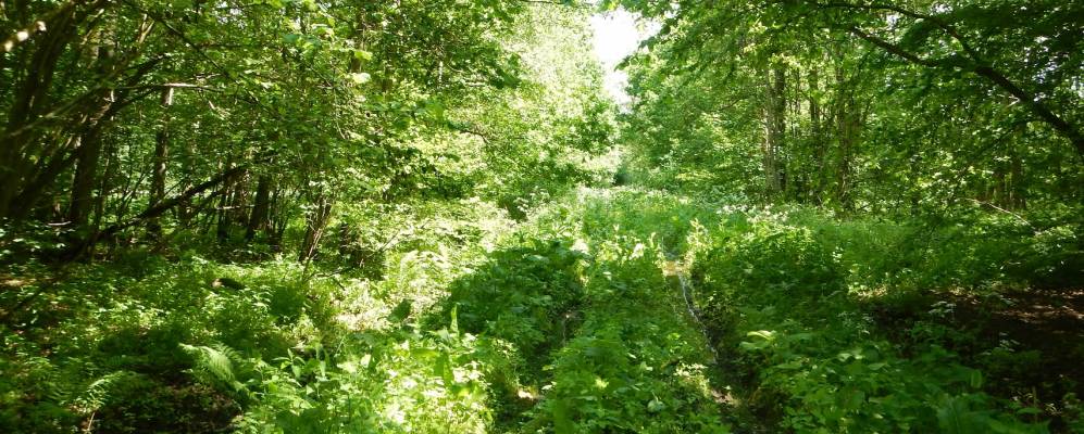 
            Фотография Звягинцево