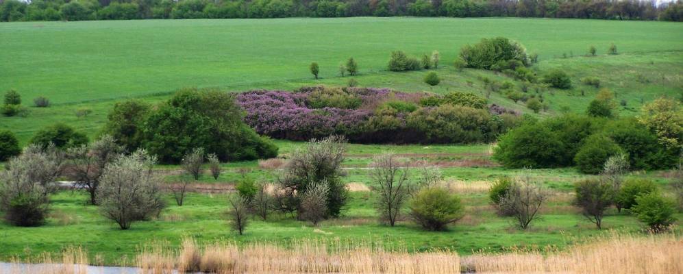 Фотография Запорожья