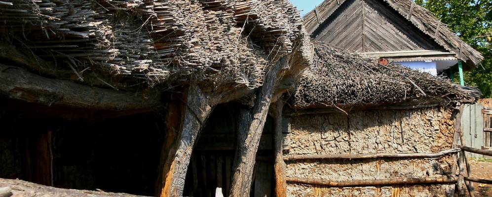 Фотография Летеаи