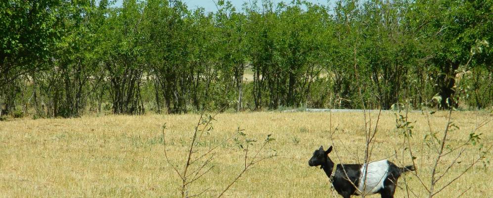 
            Фотография Звездного