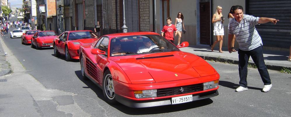 
            Фотография Ниссории