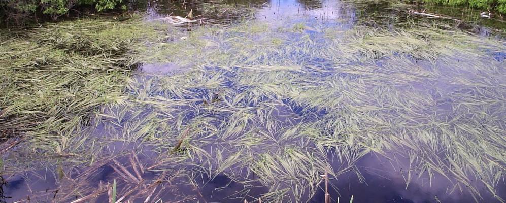 
            Фотография Дряхловщины