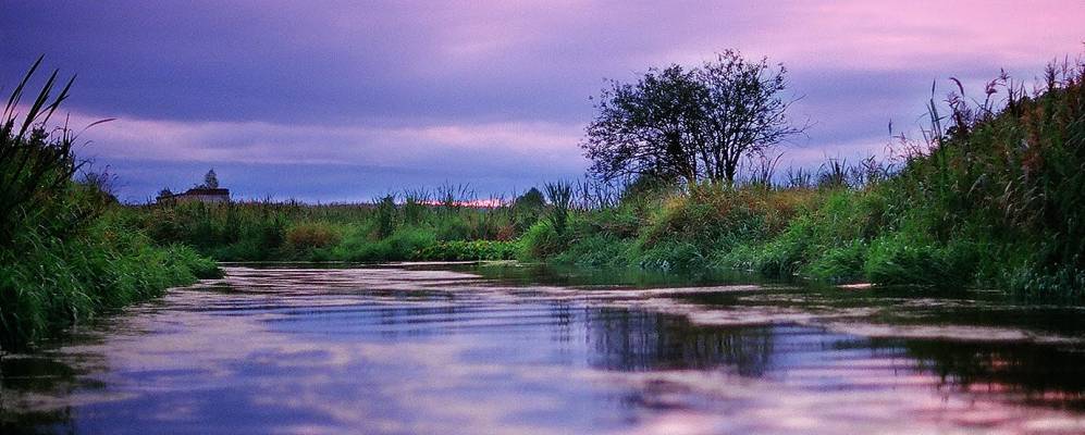 
            Фотография Карьера