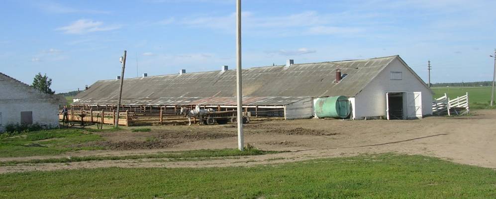 
            Фотография деревни Столбуновичи