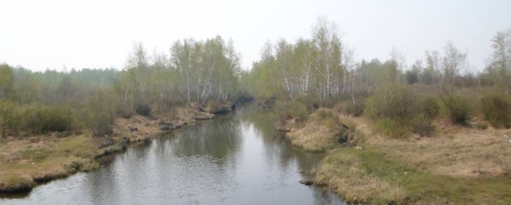 
            Фотография Низовцевы