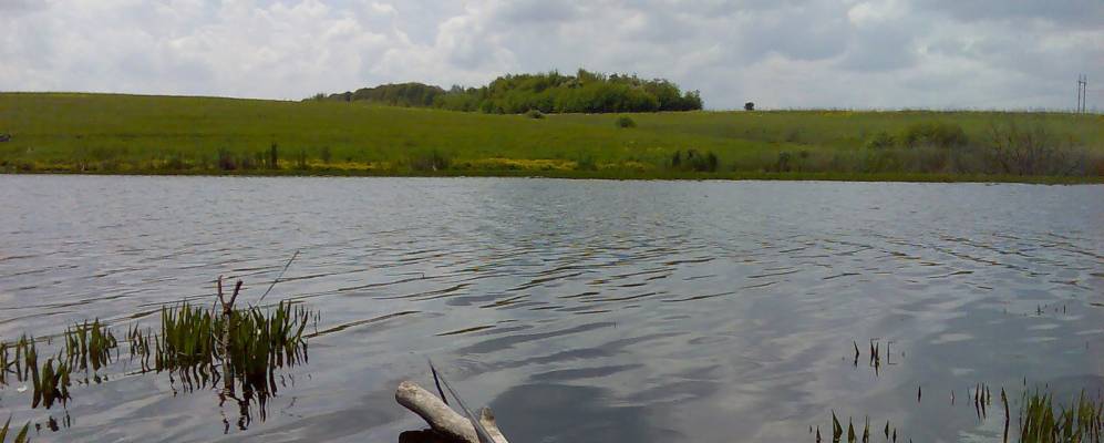 
            Фотография Говоры