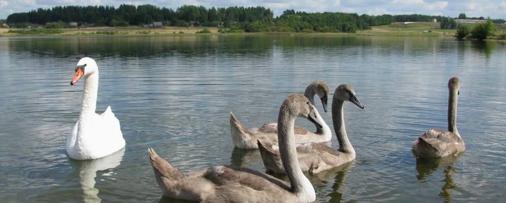 Фотография Бриничево