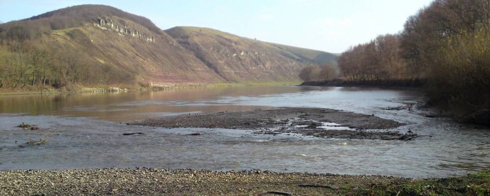 
            Фотография Луга