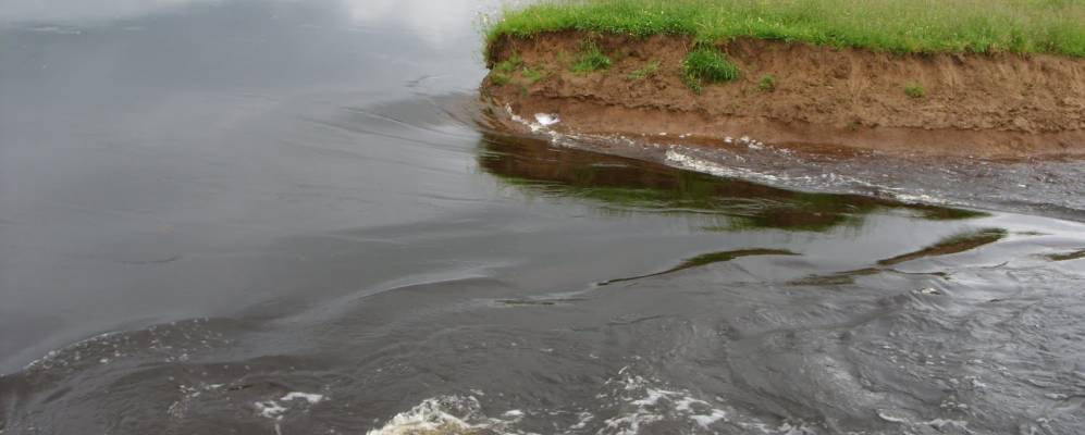 
            Фотография Кузяево